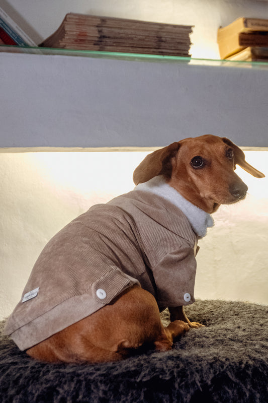 Camisa Prestigio | Café Caramelo