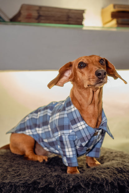 Camisa Aurora | Azul Fresco