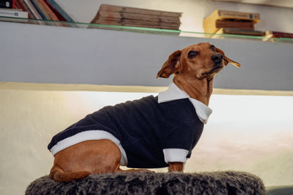 Polo Origen | Azul Océano