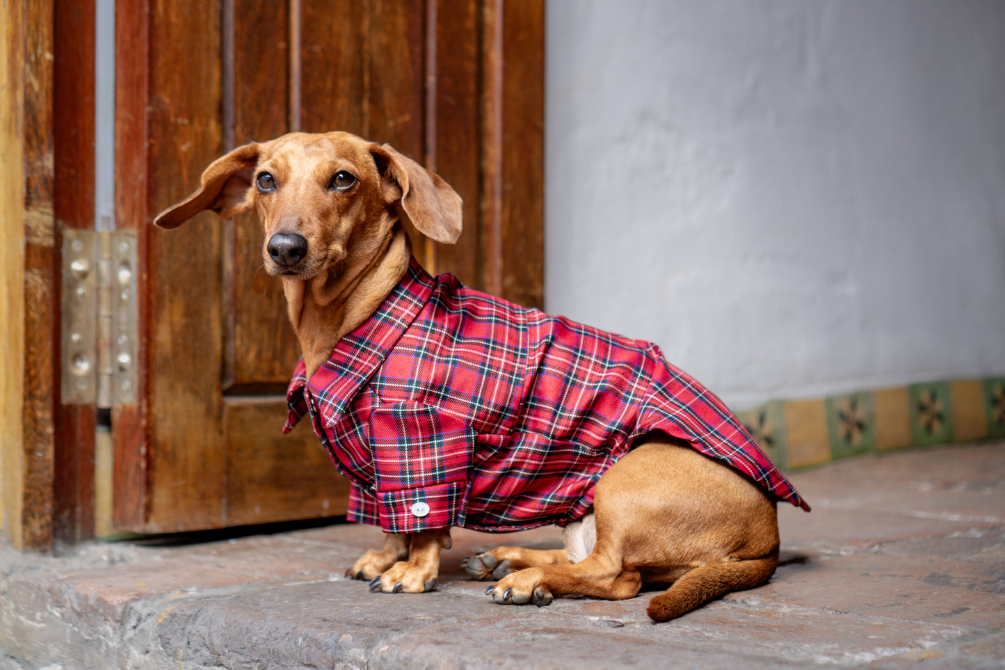 Camisa Aurora | Rojo Campo