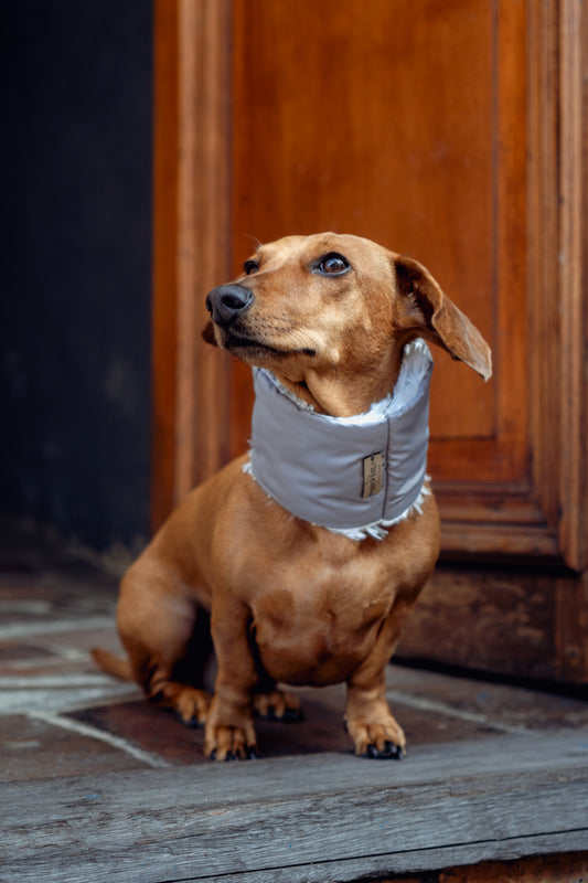 Cuello Térmico | Gris Luna
