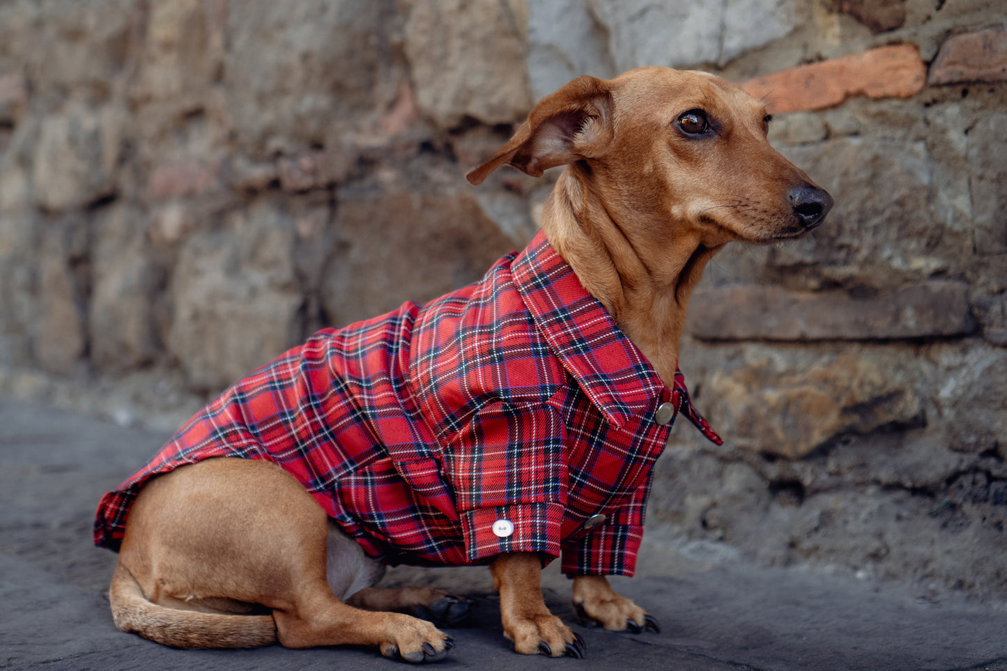 Camisa Aurora | Rojo Campo