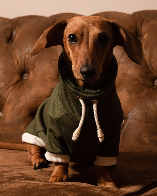 Sueter Eclipse | Verde Corteza