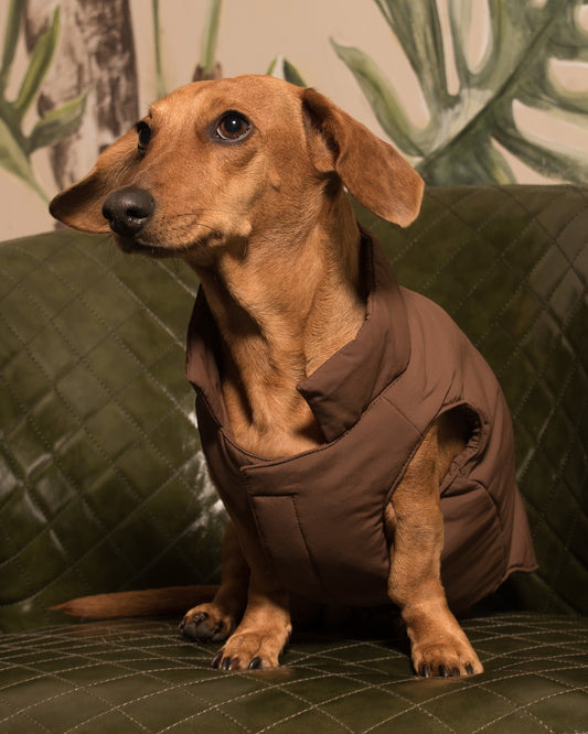 Chaleco Boreal | Café Cocoa