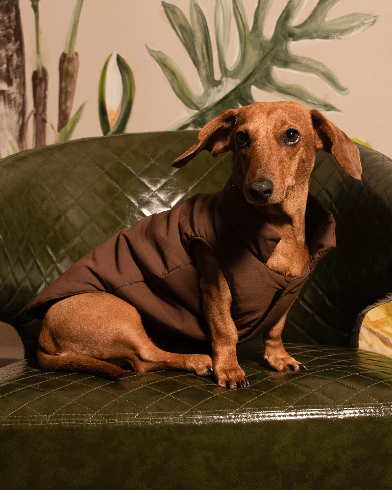 Chaleco Boreal | Café Cocoa