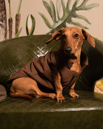 Chaleco Boreal | Café Cocoa