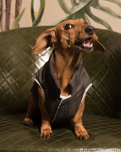 Chaleco Nova | Grafito Profundo