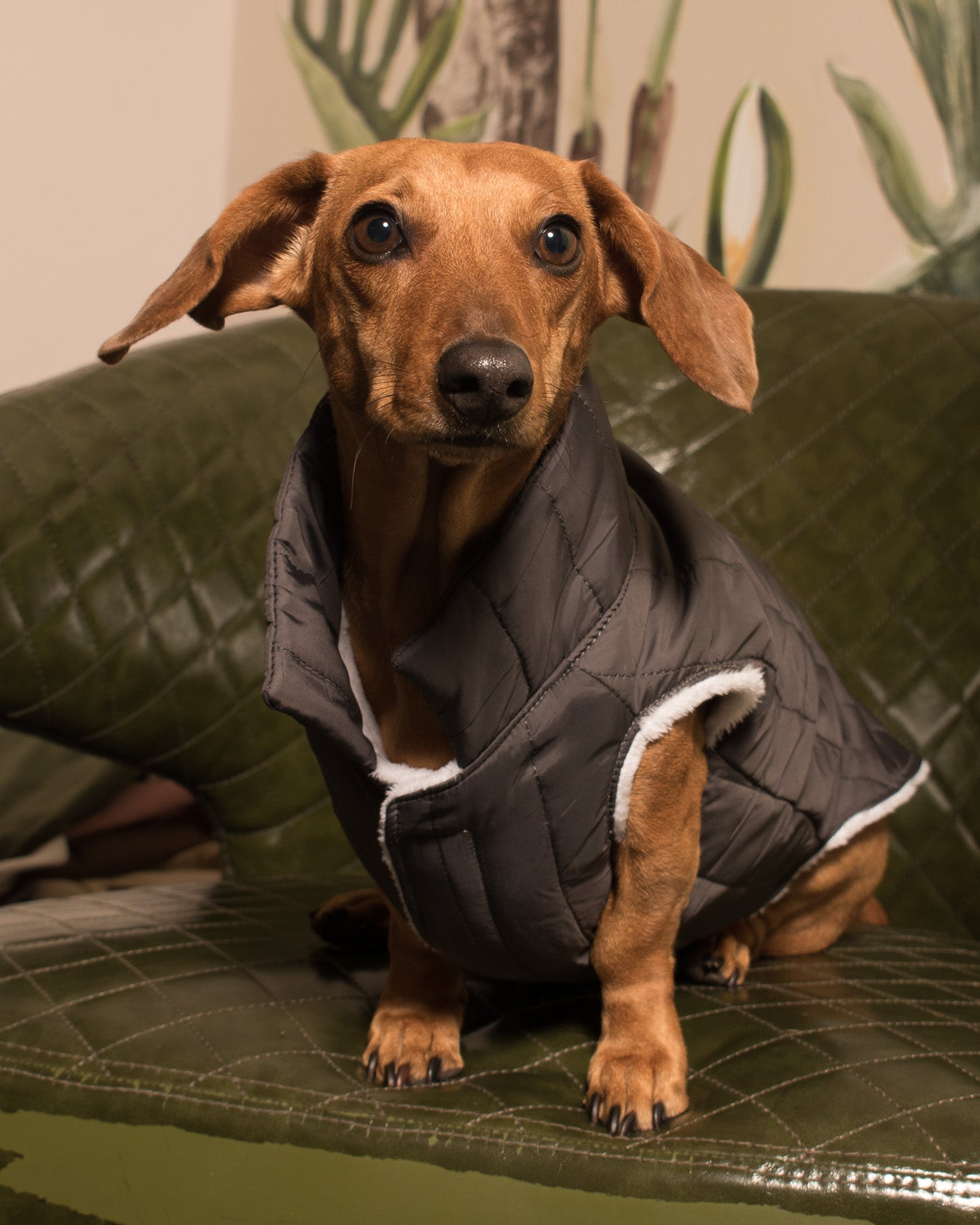 Chaleco Nova | Grafito Profundo