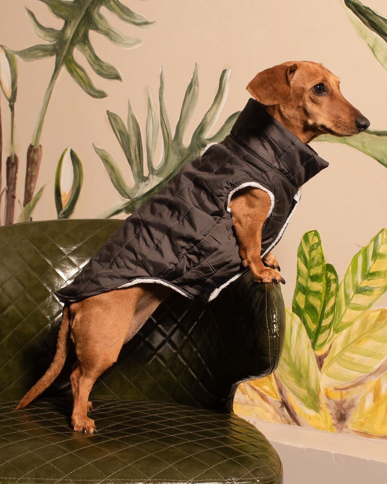 Chaleco Nova | Grafito Profundo