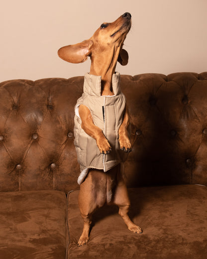 Chaleco Nova | Verde Sahara