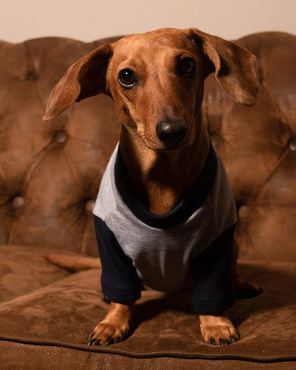 Esencial | Gris Oceano