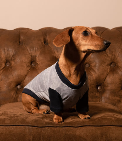 Esencial | Gris Oceano