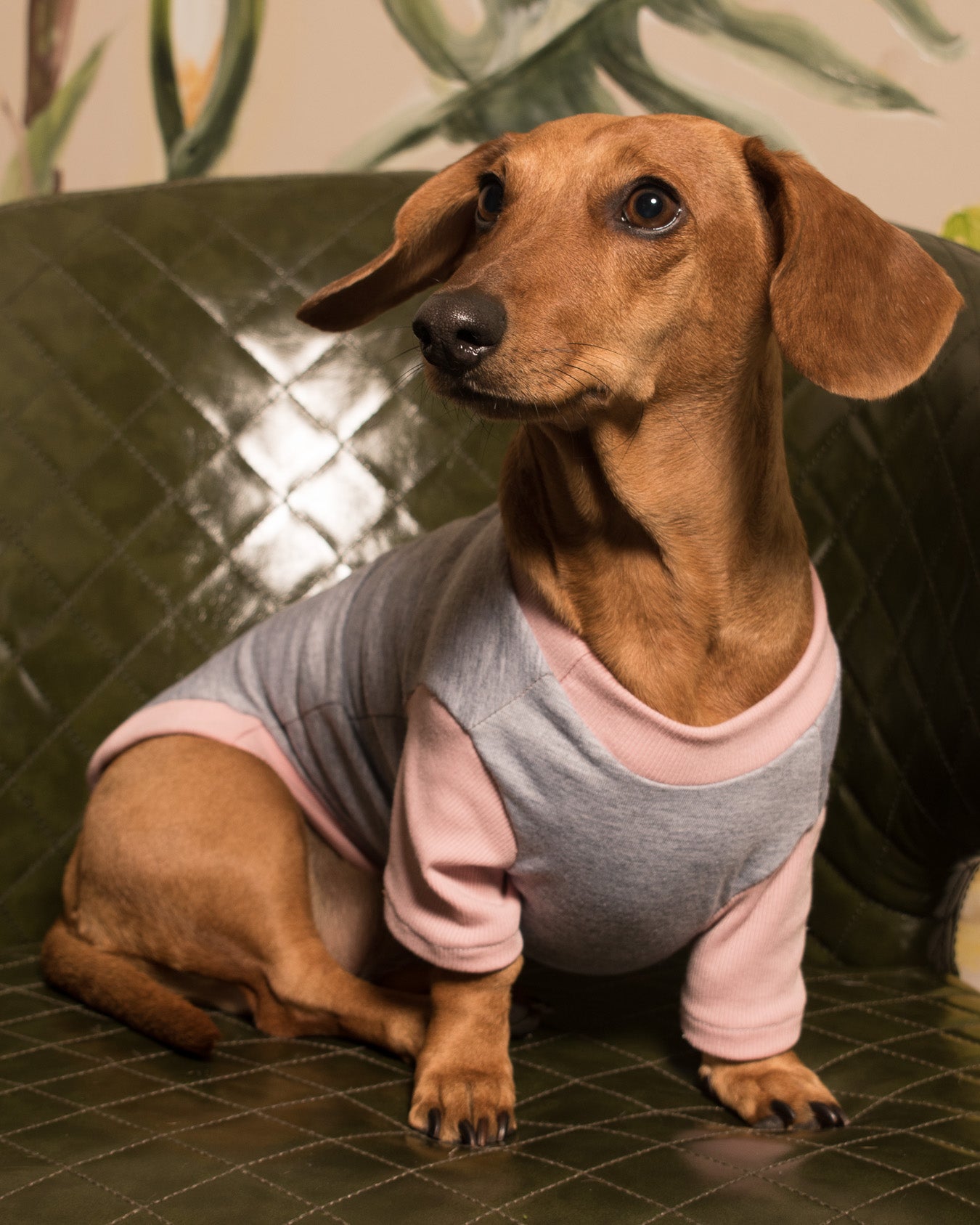 Esencial | Ceniza Rosa