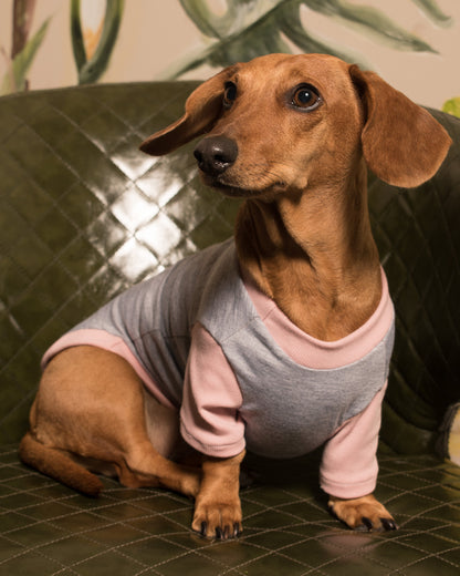 Esencial | Ceniza Rosa