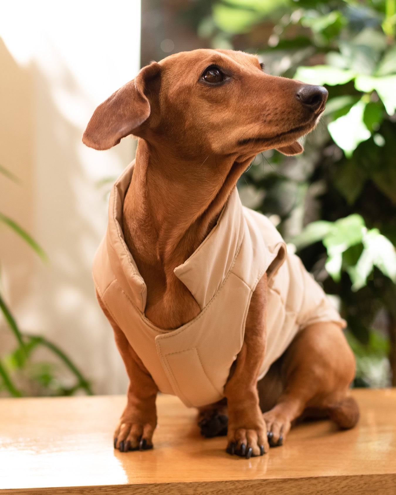 Chaleco Boreal | Duna Clara