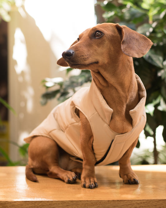 Chaleco Boreal | Duna Clara