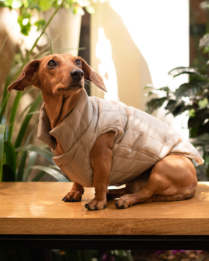 Chaleco Nova | Verde Sahara