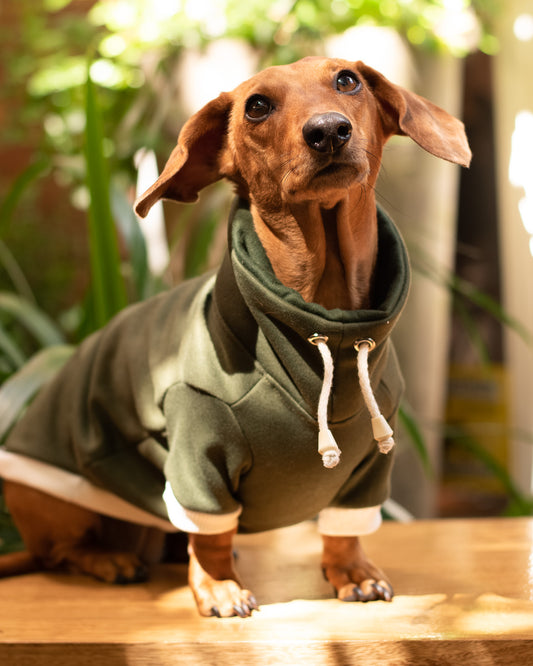 Sueter Eclipse | Verde Corteza