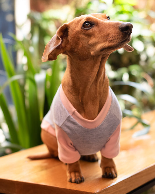 Esencial | Ceniza Rosa