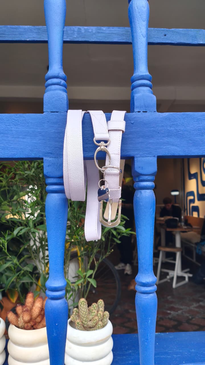 Collar y Correa en Cuero | Lila Clásico