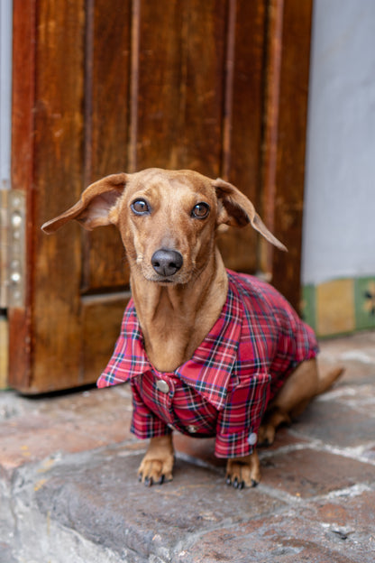 Camisa Aurora | Rojo Campo